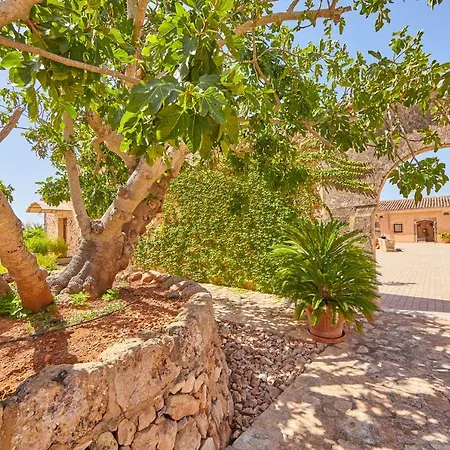 Hotel Bennoc Petit - Only Adults 4*